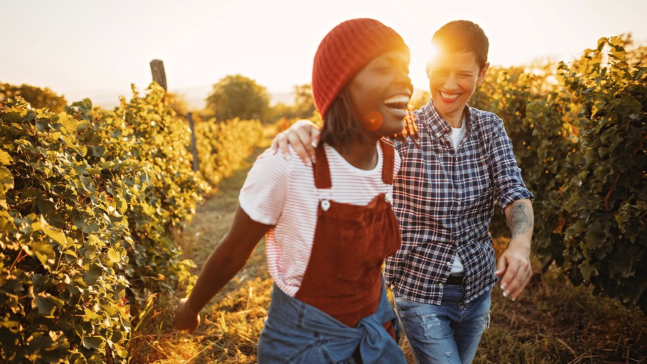 Where to eat and drink in Ontario's Wine Country, according to Toronto foodies