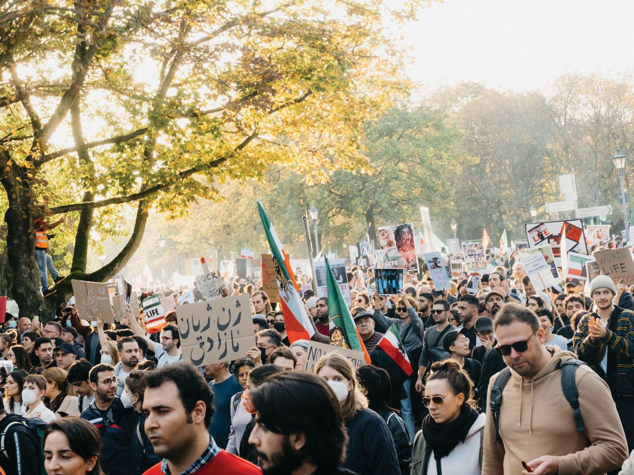 نبرد زندگی من
