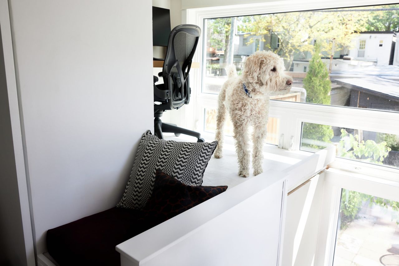 This DIYer’s 600-square-foot Leslieville bungalow is nearly half the size of her old pad, but it's twice as homey