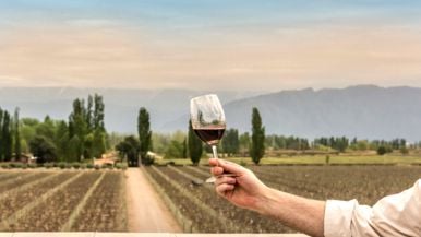 Your fall wine guide