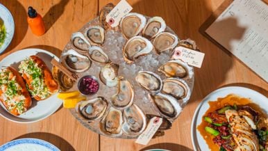 Toronto's best oyster deals