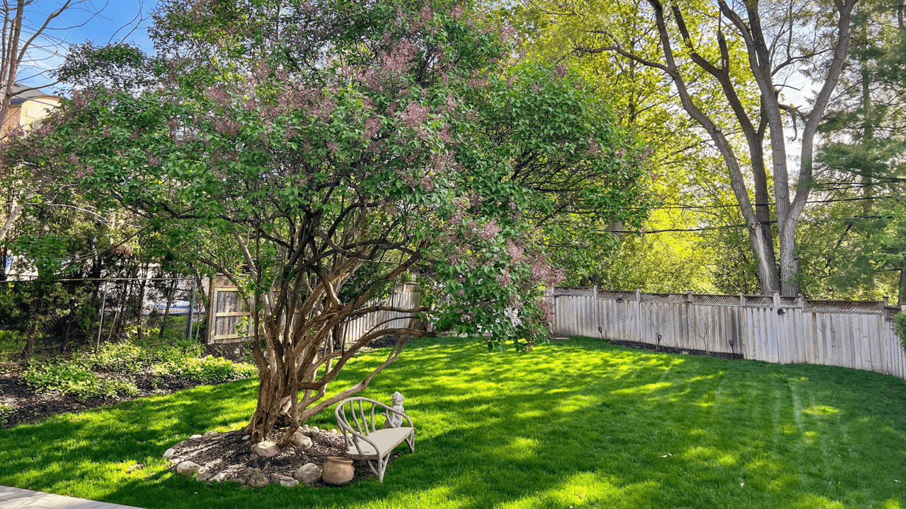 For Sale: 1445 Islington Avenue