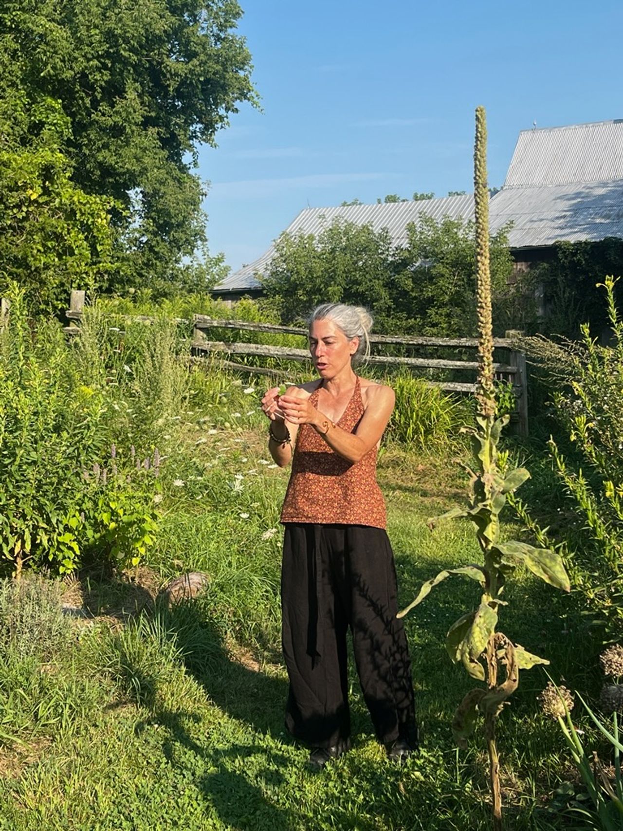 Herbalist Tamara Segal at New Moon Farm
