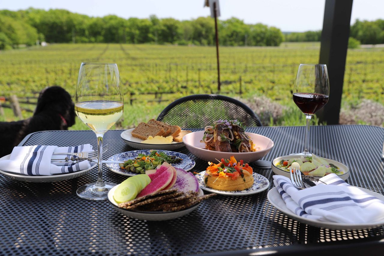 A table set with food and wine next to the vineyards at Rosewood Estates Winery
