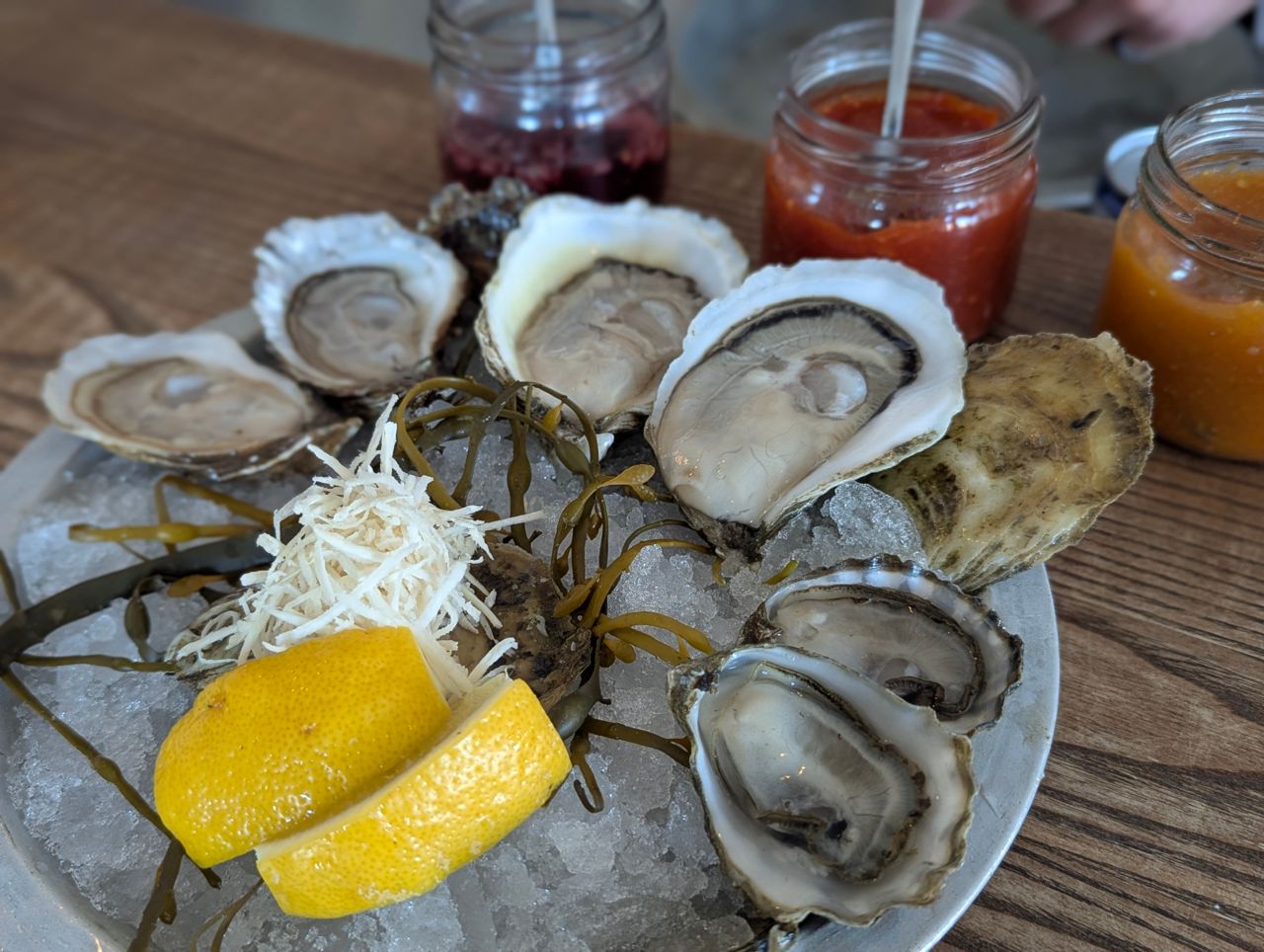 A plate of shucked oysters on ice