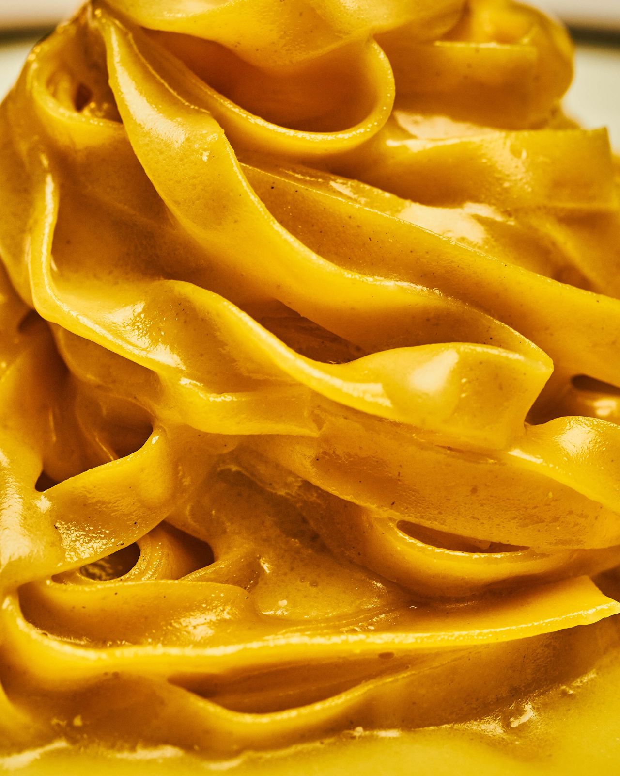A closeup of Fettuccine alla Scrofa Cento Uova