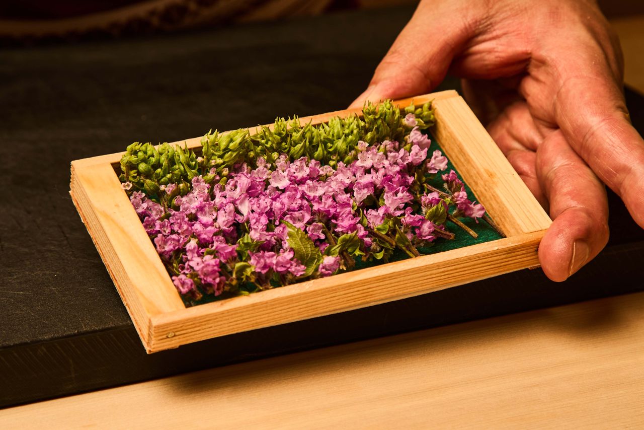 A tray of flowering shiso branches