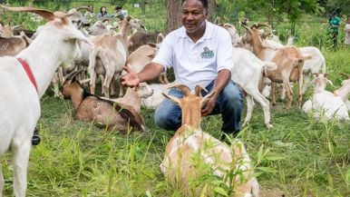 "I traded my lucrative career as a mortgage broker to shepherd goats. Now I plan to have herds across the country"