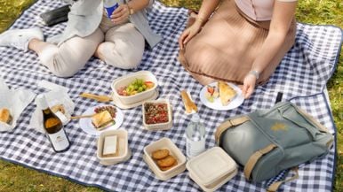 Is this Toronto's most extravagant picnic?