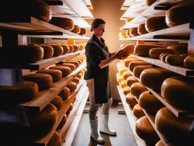 There's an epic 31-stop cheese tour just two hours from Toronto