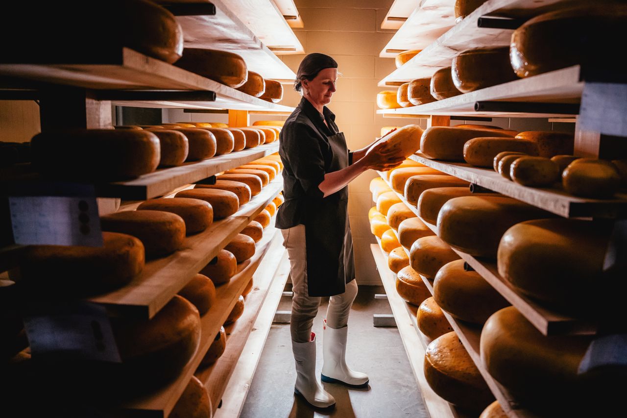 Wheels of cheese at New Galma Dairy in Oxford County