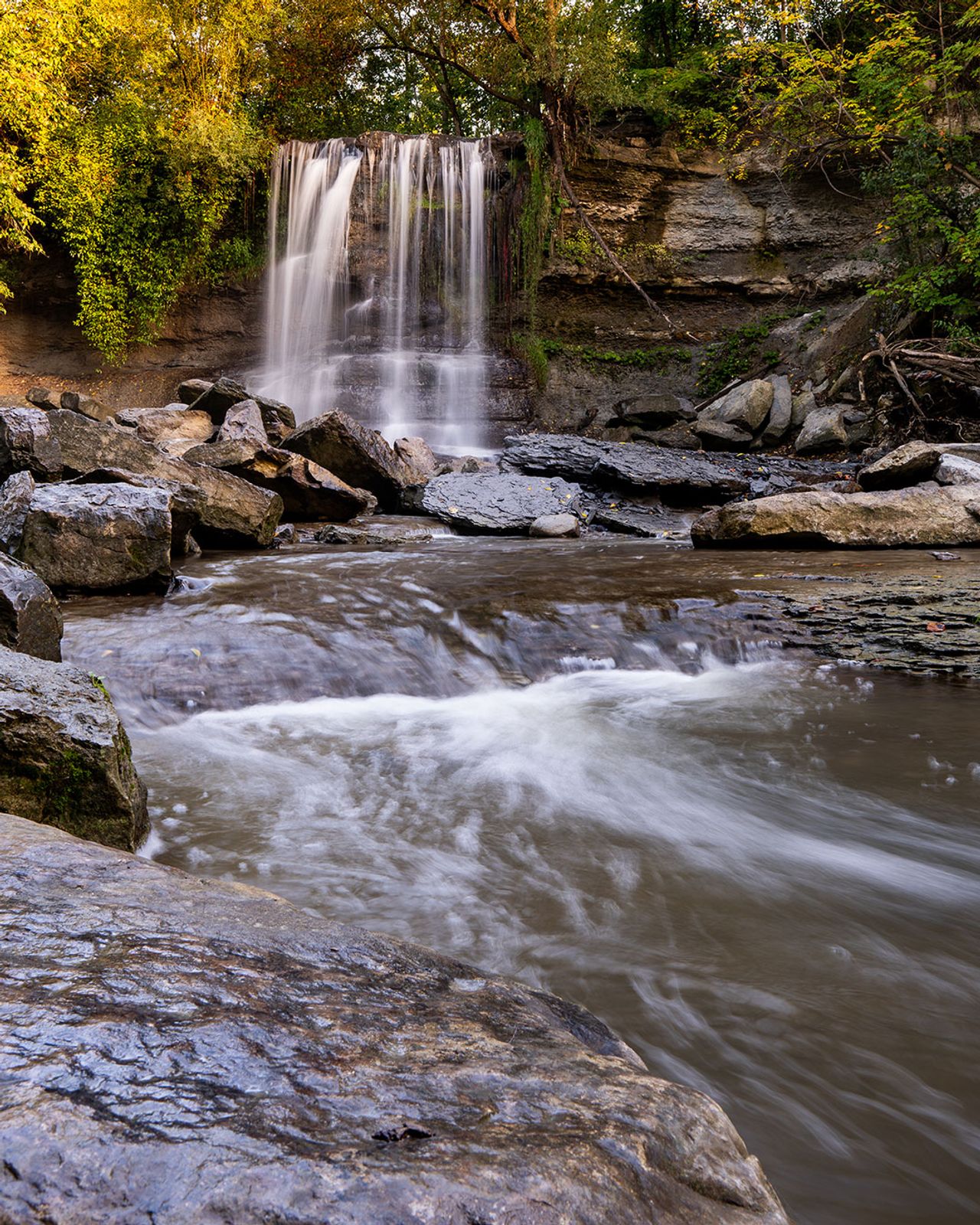 You can find 350-million-year-old fossils less than three hours from Toronto