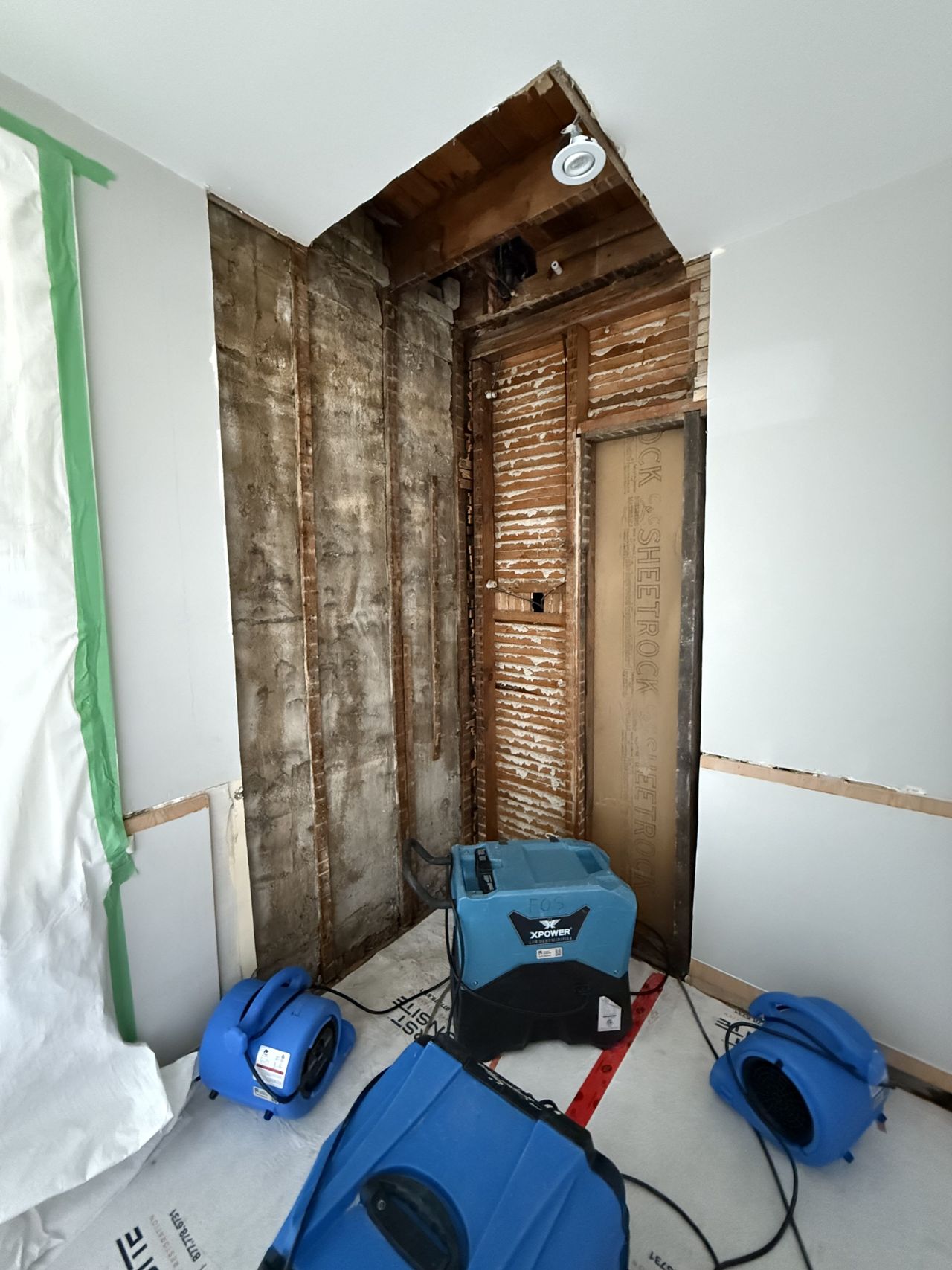 “We had to live in a construction zone”: One Toronto family’s four-month insurance nightmare