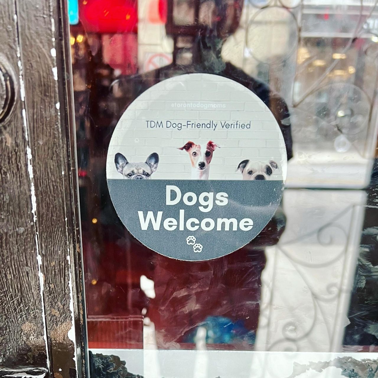 A sign in the window of Sweaty Betty's, a bar in Toronto, saying it's dog friendly
