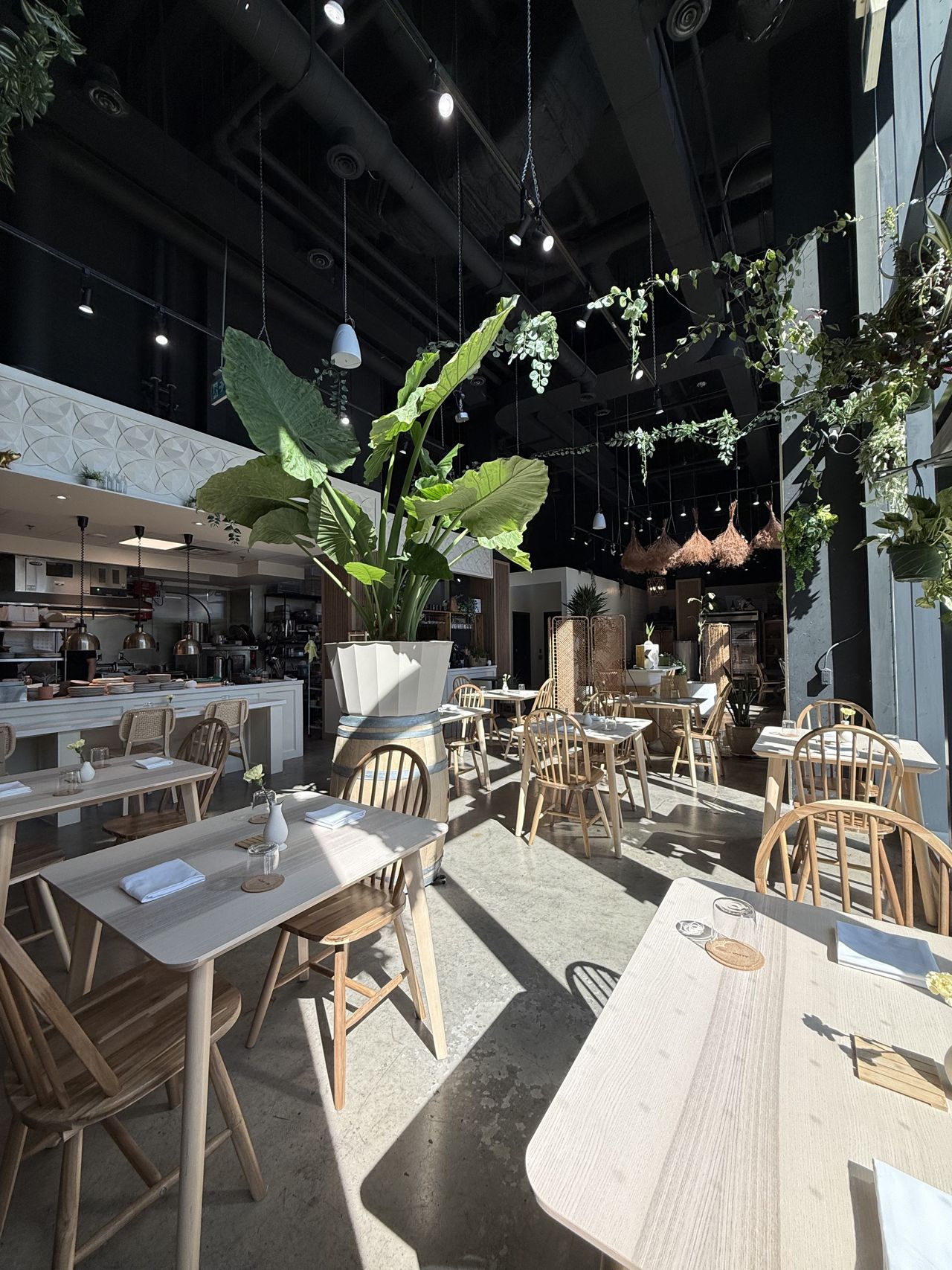 The dining room at Alma y Gil in Toronto