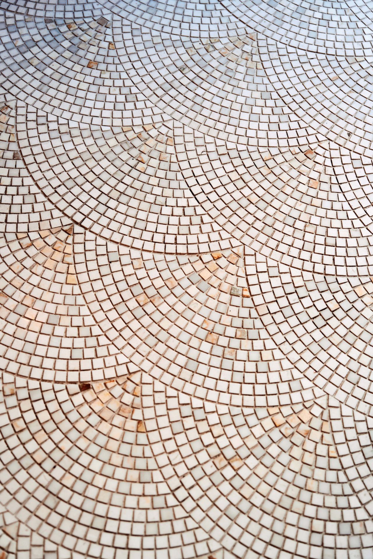 A closeup of tile flooring at Taberna LX
