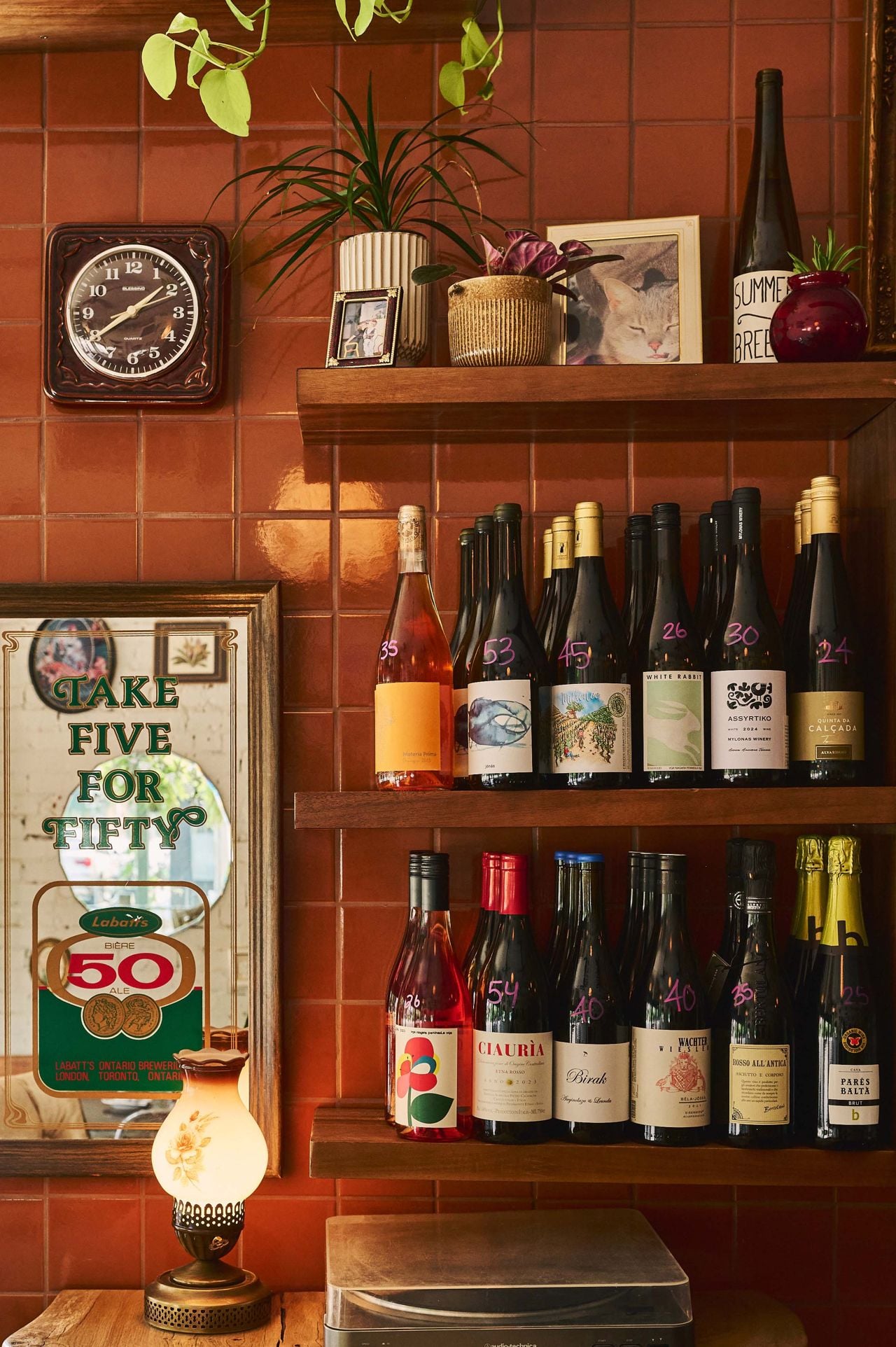Shelves stocked with bottles of wine