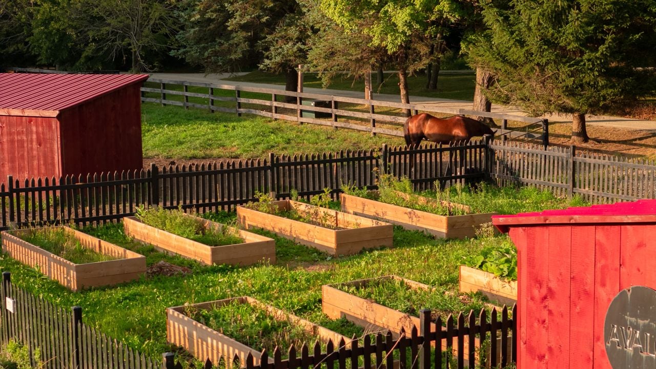 toronto-life-real-estate-mono-farmhouse-lavender-horses-glamping-27 $4.5 million for a Mono estate with a lavender farm, horses and a glamping dome