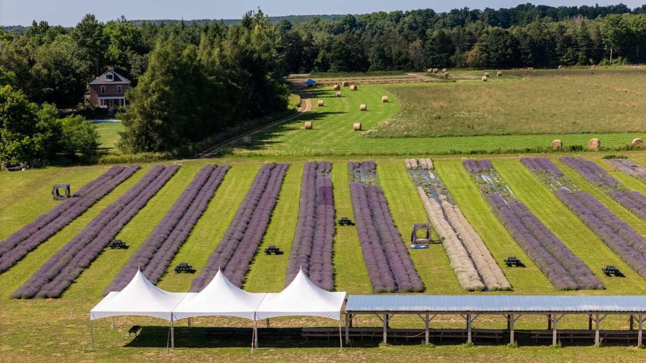 toronto-life-real-estate-mono-farmhouse-lavender-horses-glamping-29 $4.5 million for a Mono estate with a lavender farm, horses and a glamping dome