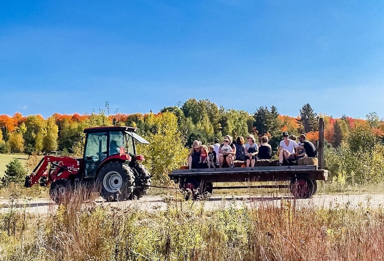 A tractor ride in a field
