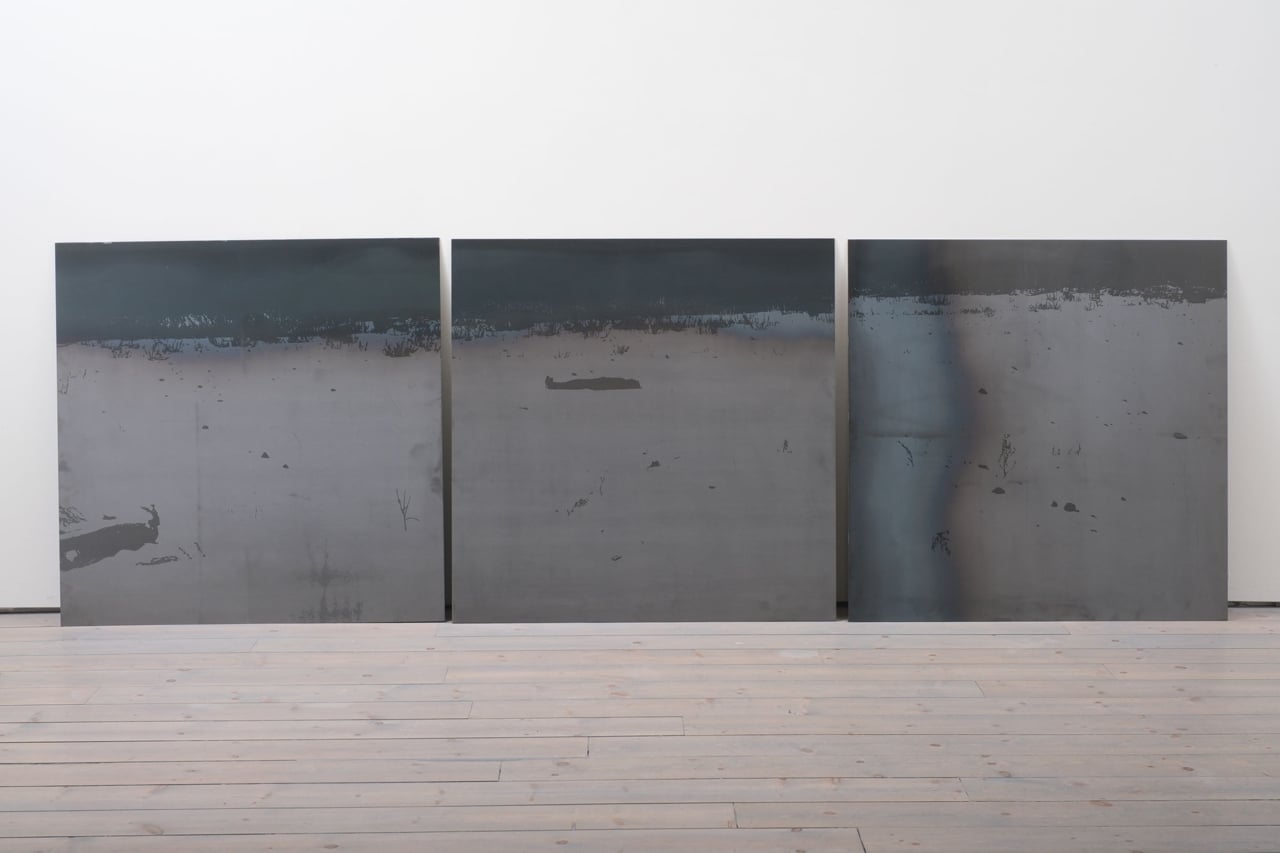 Five must-see art shows coming to Toronto this fall