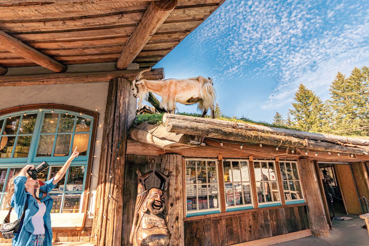 From Toronto to Tofino With Love: Our epic seven-day road trip across the country