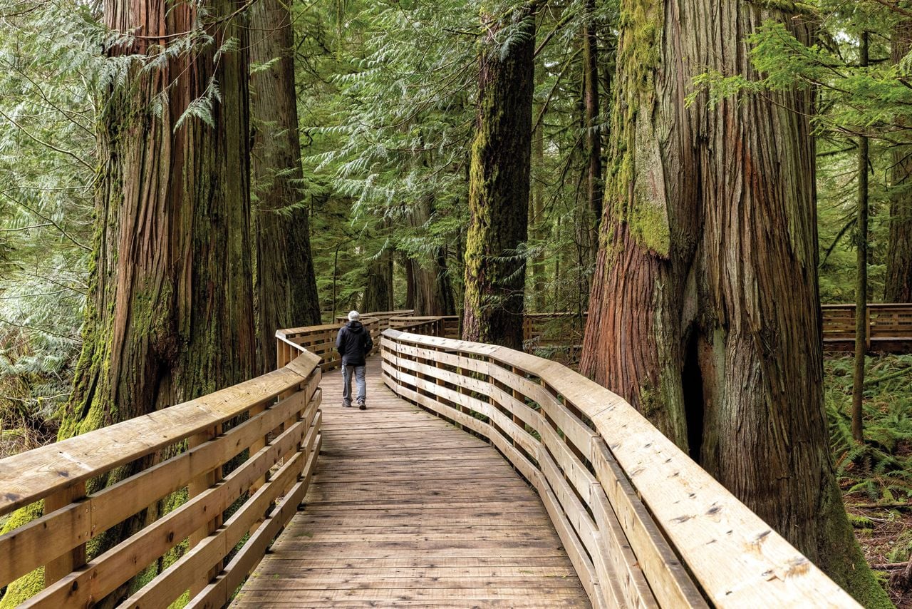 From Toronto to Tofino With Love: Our epic seven-day road trip across the country