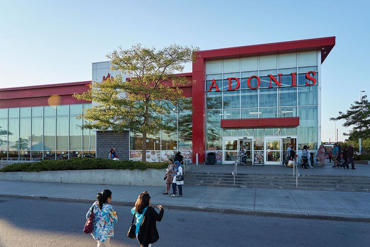 Where to Buy Next: Twelve Toronto neighbourhoods destined for big things