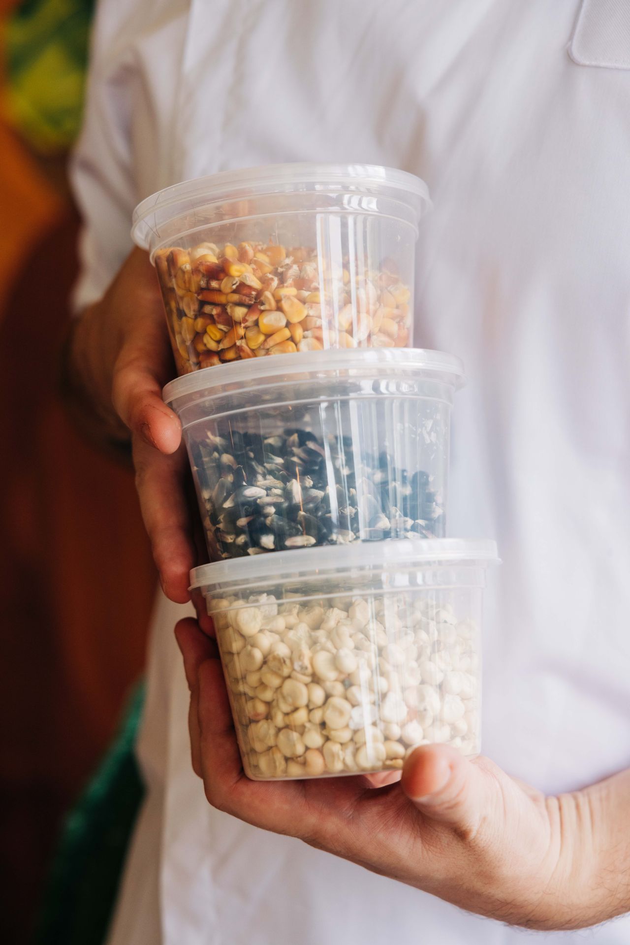 A chef holds three plastic containers filled with different types of corn