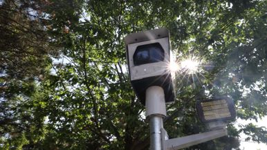 Doug Ford's cabinet ministers are getting a lot of speeding tickets