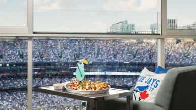 For $4,000, you can watch the Jays from above the field