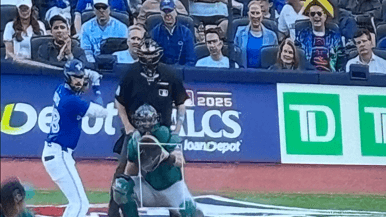 Who is Cheese Hat Man? In search of the Blue Jays’ cheesiest superfan