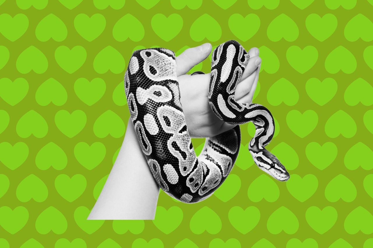 Kiss and Tell: "My date's apartment was full of snakes"