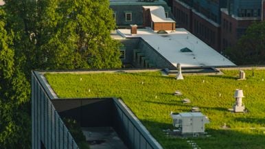 "Losing the green roof industry will be costly": Toronto's climate-friendly by-law dies without debate