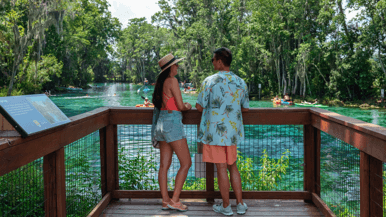 Trade snow for sun-kissed adventures: Your midwinter escape to Florida