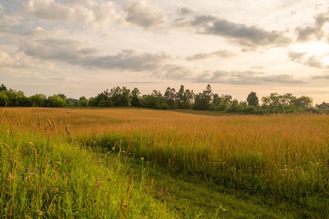 toronto-life-real-estate-erin-ontario-bungalow-veggie-farm-wine-barrel-island-30 $7 million for a brilliant bungalow in rural Erin with 98 acres and an organic veggie farm