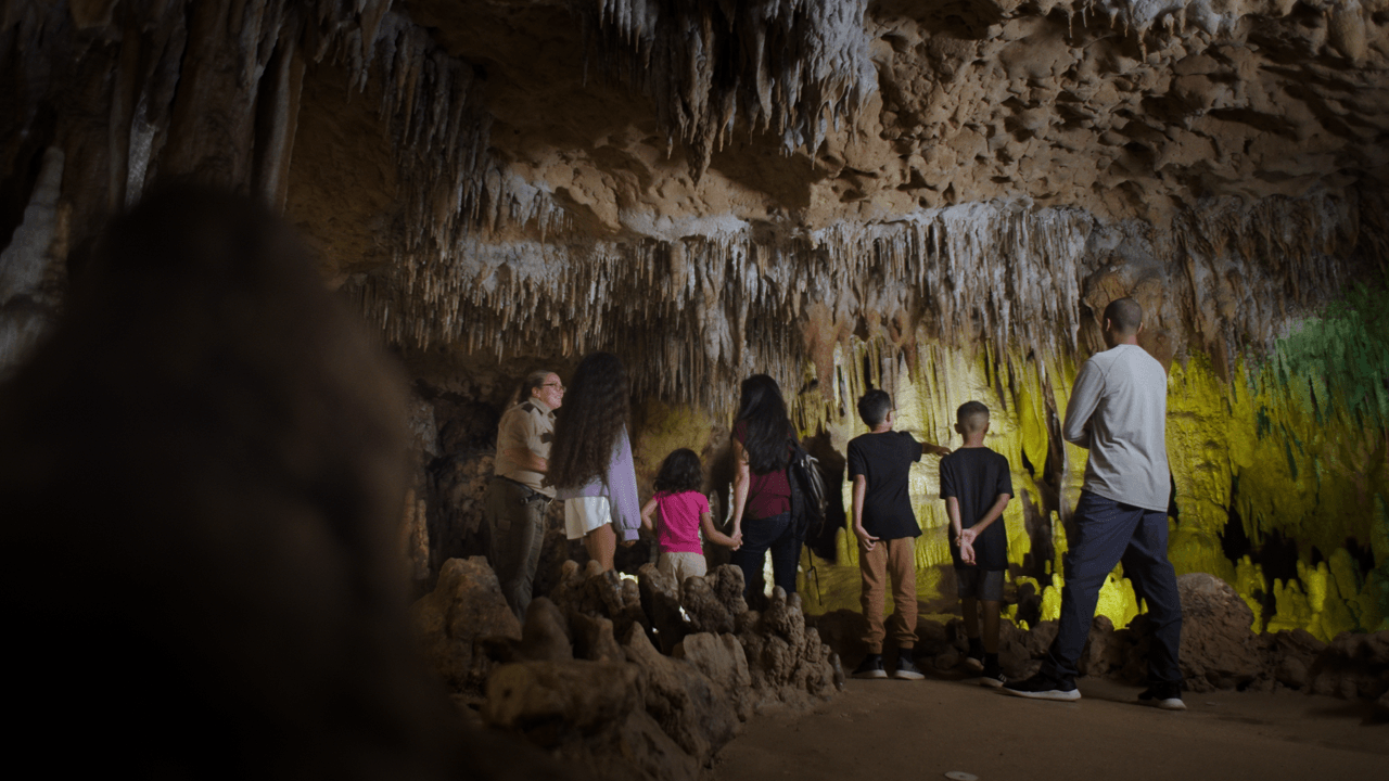 Trade snow for sun-kissed adventures: Your midwinter escape to Florida