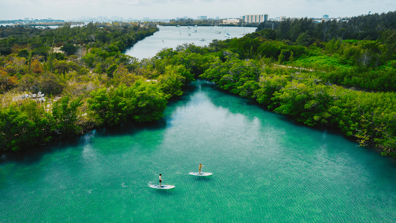 Trade snow for sun-kissed adventures: Your midwinter escape to Florida