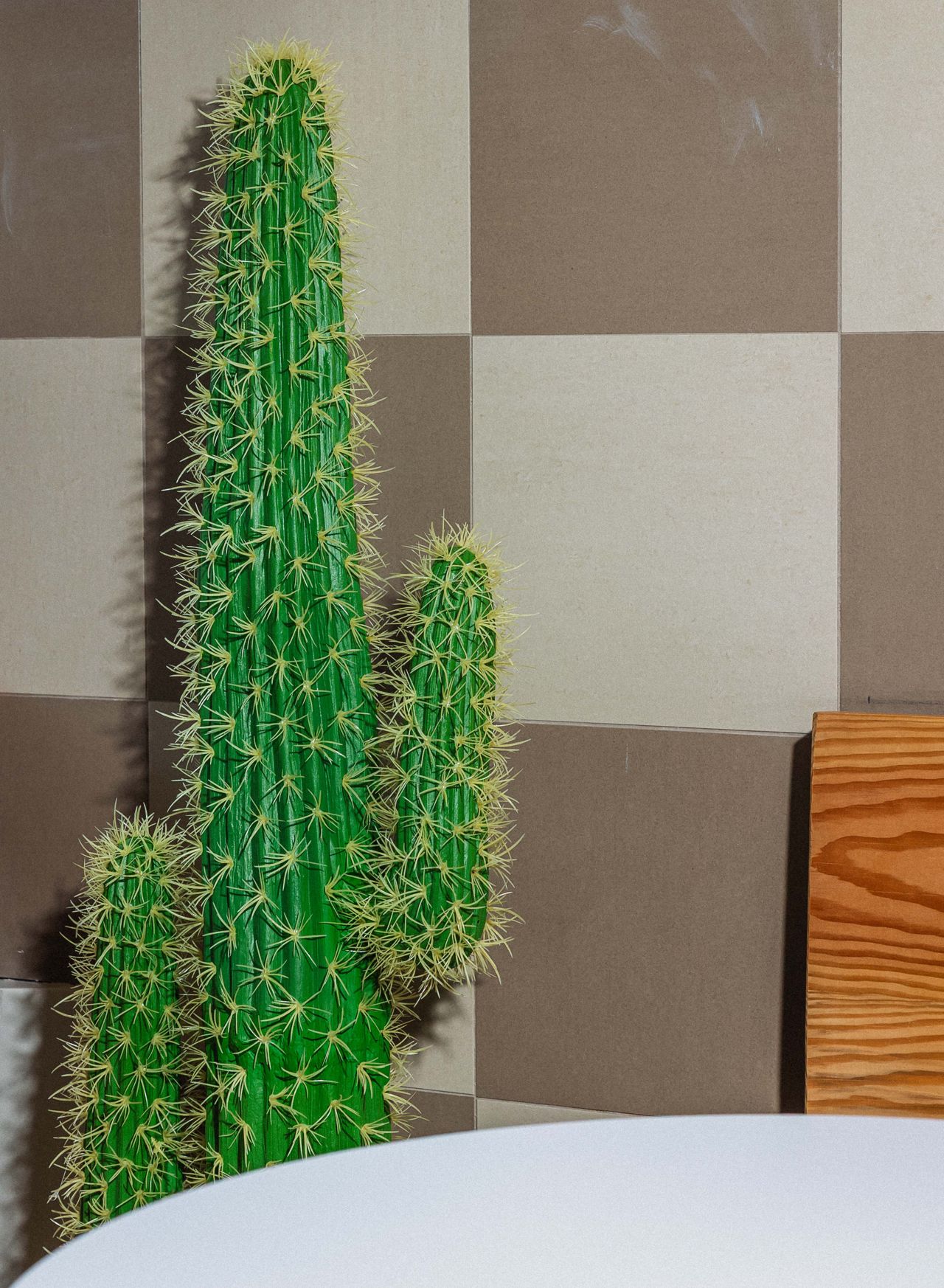A cactus