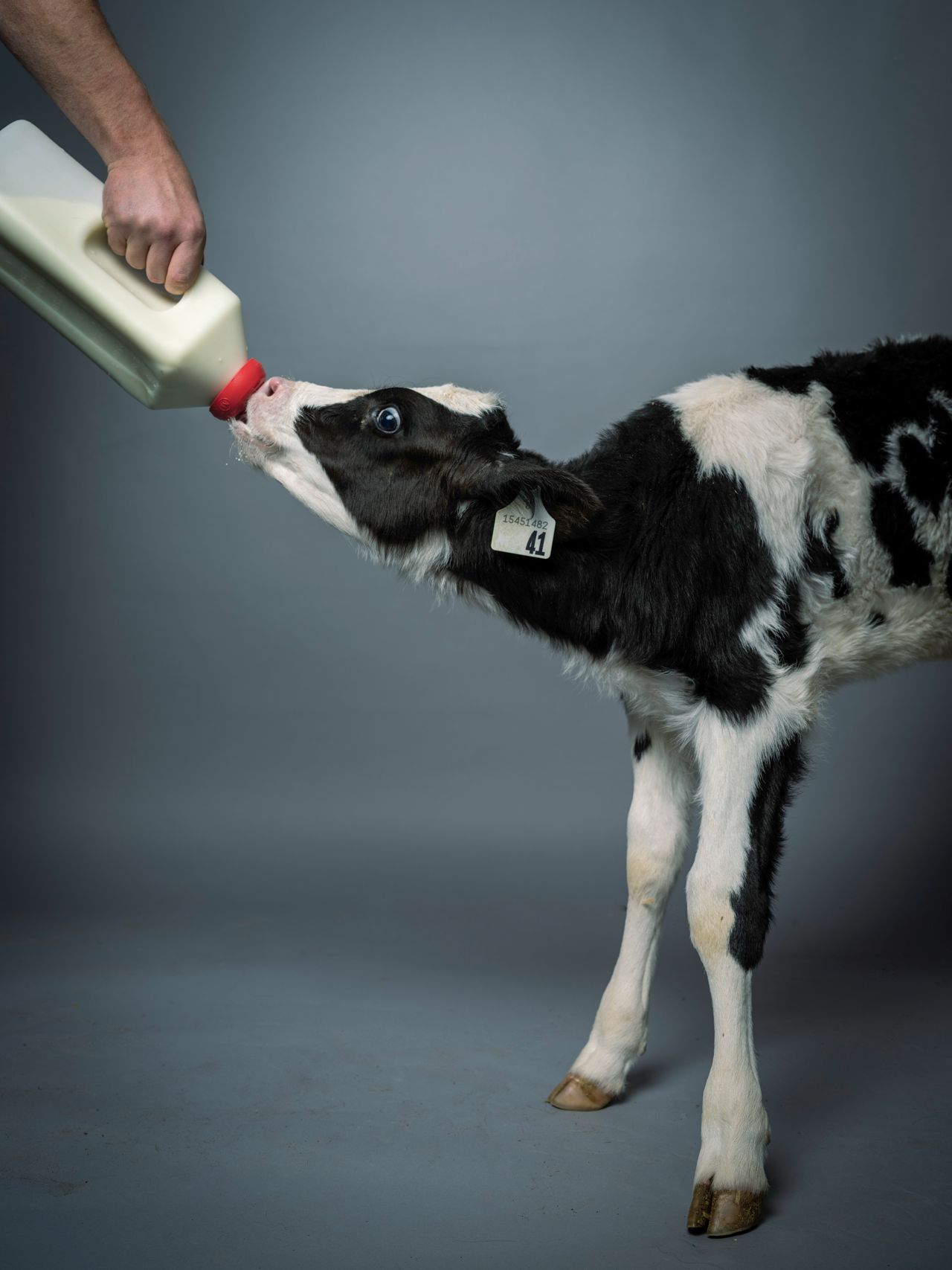 Royal Winter Flair: The faces of Toronto’s annual agricultural extravaganza