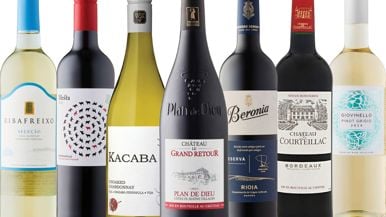The best bottles of wine at the LCBO for $25 or less