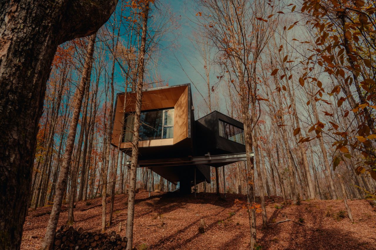 This dreamy treehouse cabin is less than three hours north of the city