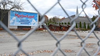 Marineland wants to send its remaining dolphins and whales to the US