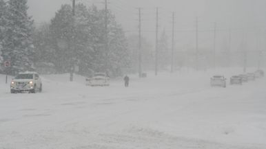 Toronto got 22 centimetres of snow yesterday, so Line 6 is down today