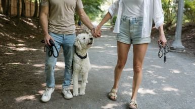 "My dog met the love of his life. Then I did too"