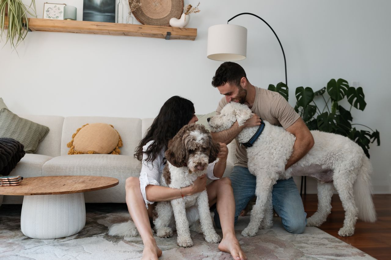 "My dog met the love of his life. Then I did too"
