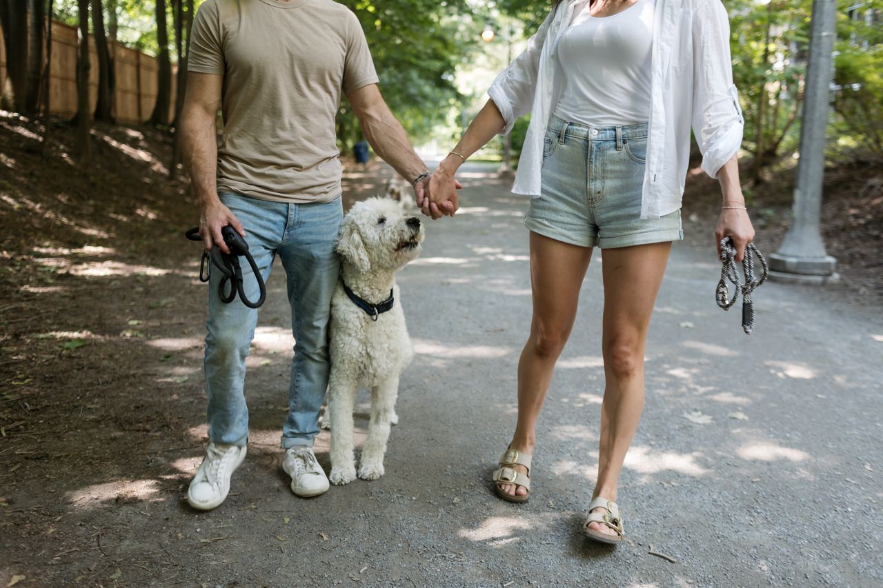 "My dog met the love of his life. Then I did too"