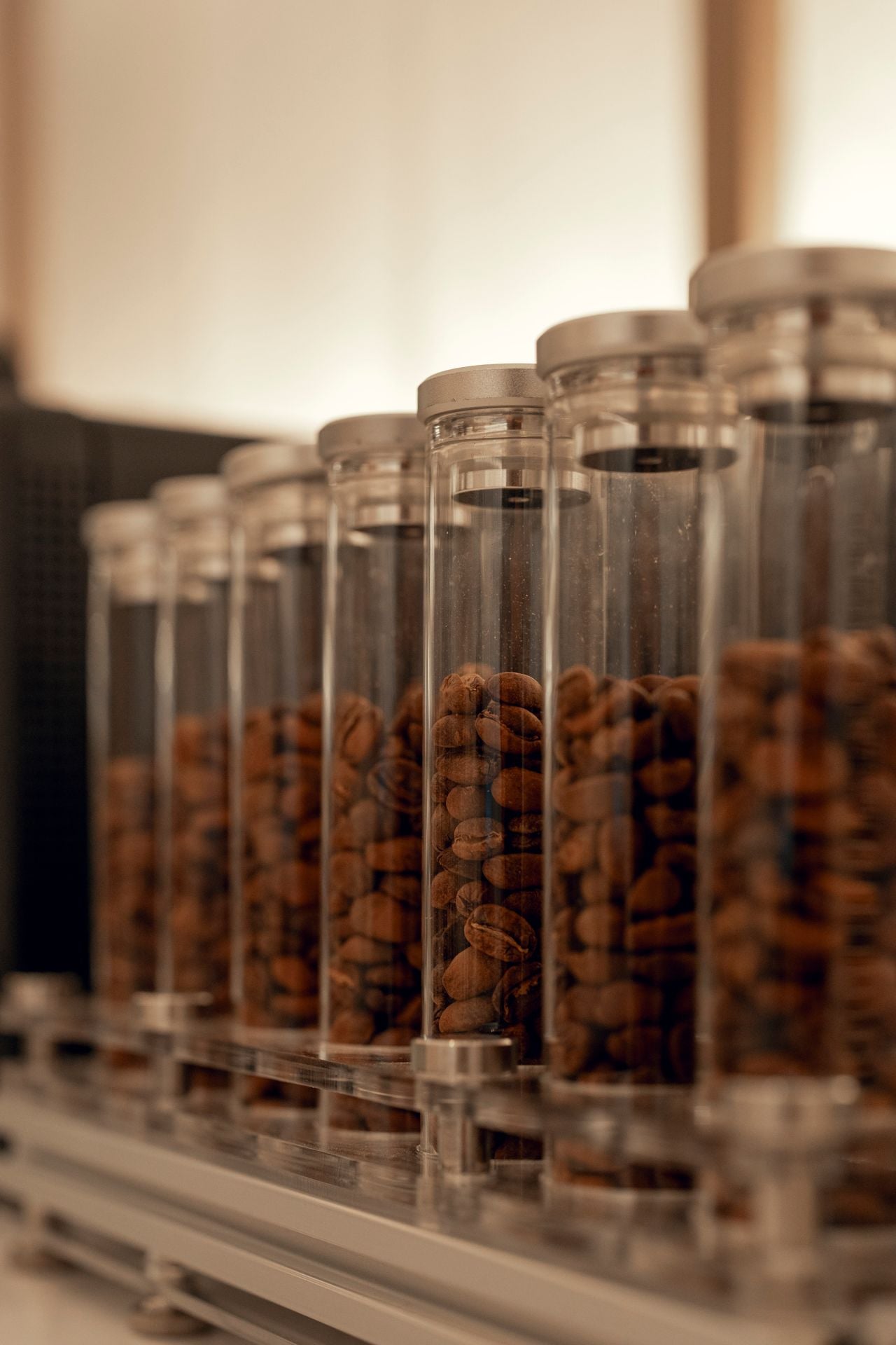 A closeup of jars filled with coffee beans