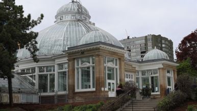 There’s a petition to double the space at Allan Gardens’ conservatory