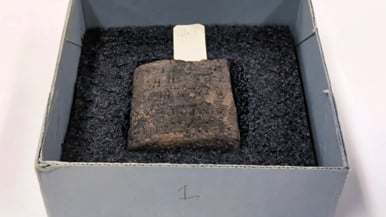This is the oldest artifact in the Toronto Public Library's research collection